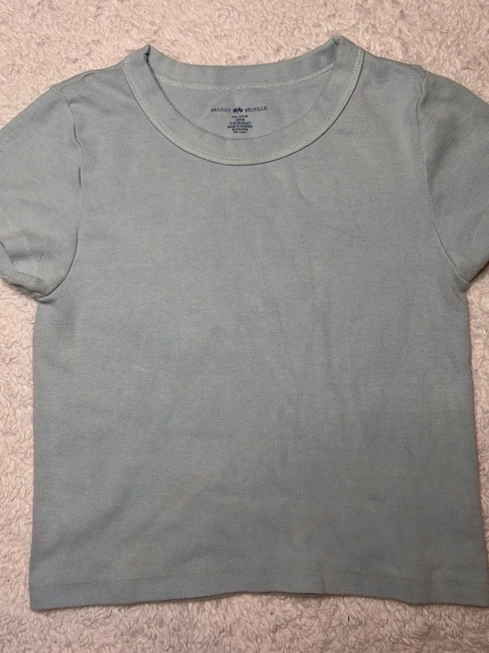 Brandy Melville Pale Sage Crewneck Tee